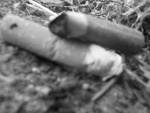 Fotoblog tymciio