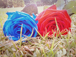 Fotoblog lovephotoandmusic