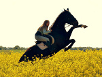Fotoblog hawusia13