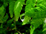 Fotoblog cuukieerkoowaaa