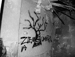 Fotoblog escalante