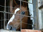 Fotoblog ruda1611