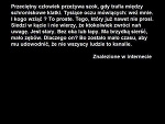 Fotoblog stworzonedlazwierzat