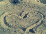 Fotoblog xxxrosexxx