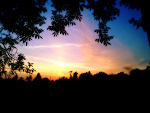 Fotoblog pieknoxnatury