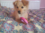 Fotoblog evelaa28