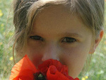 Fotoblog olafasola2610