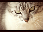 Fotoblog jolantynka