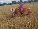 Fotoblog juliajandzinska1234