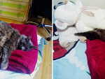 Fotoblog nanayep