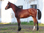 Fotoblog tasmanstory