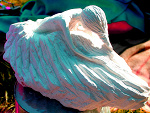 Fotoblog eeeuforia