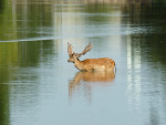 Fotoblog evap