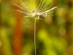 Fotoblog nelka1234