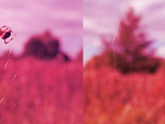 Fotoblog krwawiacyusmiech