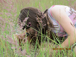 Fotoblog asaminach