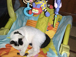 Fotoblog visualchristka