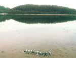 Fotoblog dzastro