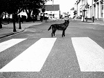 Fotoblog pangie90