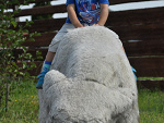 Fotoblog ciaglewalcz