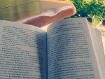 Fotoblog disappointedlife