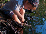 Fotoblog kmjfoto