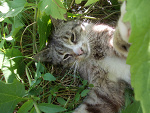Fotoblog givemelooove