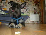 Fotoblog sandra2599