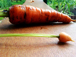 Fotoblog fredekmaly