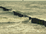Fotoblog cocosowyshake