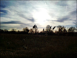 Fotoblog rokitka009