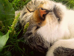 Fotoblog olkex