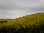 Fotoblog loczekss