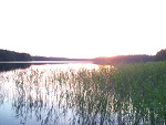 Fotoblog wafko