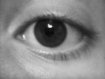 Fotoblog wohoa