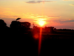 Fotoblog mowmiolaa