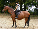 Fotoblog zaff