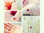 Fotoblog naaaatisiaaa