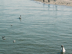 Fotoblog vannx