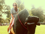 Fotoblog justjolly