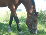 Fotoblog astusiowa