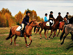 Fotoblog loveponies
