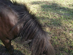 Fotoblog karusiowata123