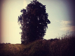 Fotoblog cityofangelx3