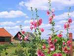 Fotoblog ryszard071