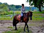 Fotoblog withwindgalloping