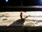 Fotoblog lovingcanhurt