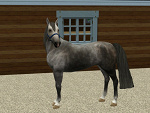 Fotoblog kalleysims
