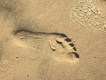 Fotoblog niewtemacie