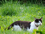 Fotoblog pablo0084